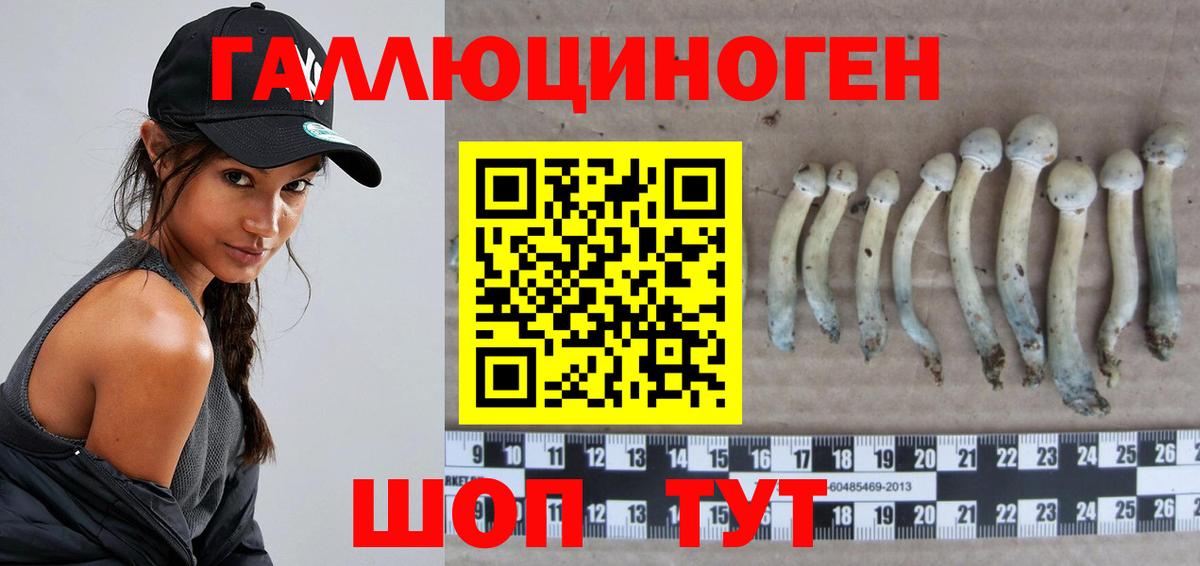 Псилоцибиновые грибы MAGIC MUSHROOMS Усть-Илимск