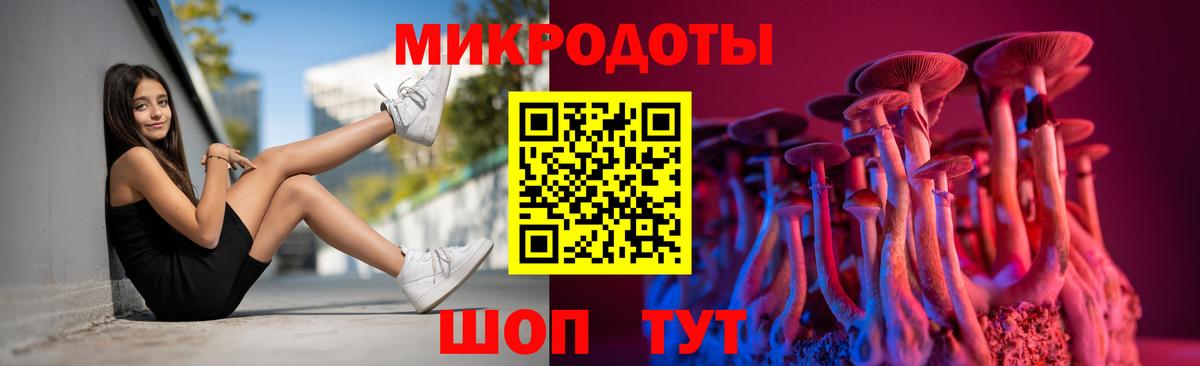 Псилоцибиновые грибы Psilocybe  Вход с VPN  Усть-Илимск 